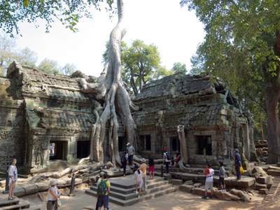 201102a/Angkor_trees_06.jpg