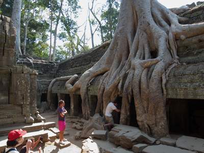 201102a/Angkor_trees_10.jpg
