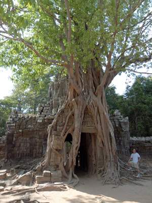 201102a/Angkor_trees_16.jpg