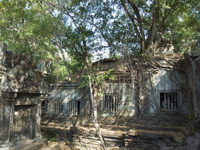 201102a/Angkor_trees_17.jpg