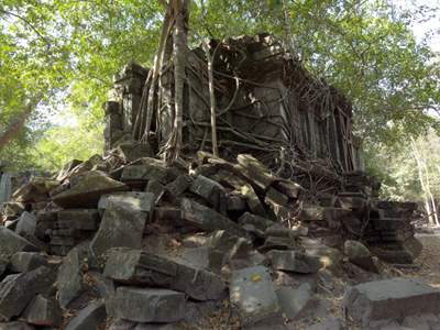 201102a/Angkor_trees_20.jpg