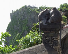 201105a/Bali_05a.jpg