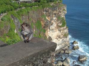 201105a/Bali_05b.jpg