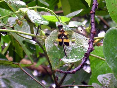 200508/Sungei_Buloh_3.jpg