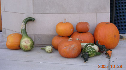 200510c/Minneapolis_10.jpg