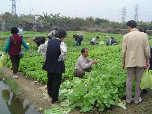 200803b/Huangpu_Gugang_5.jpg