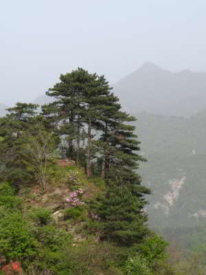 201004/Wudang_05.jpg