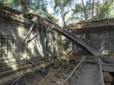 201102a/Angkor_trees_19.jpg