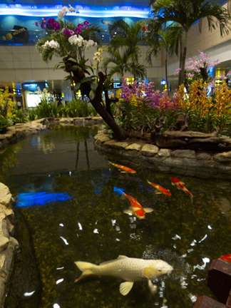 201105a/Changi_2.jpg