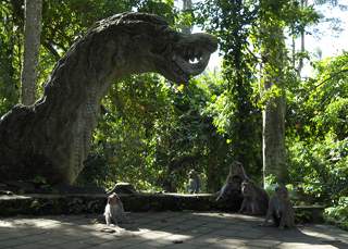 201105b/Ubud_10b.jpg