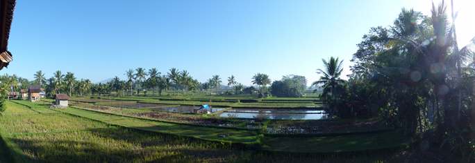 201105b/Ubud_17.jpg