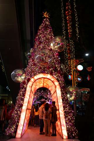 201212b/Orchard_06a.jpg